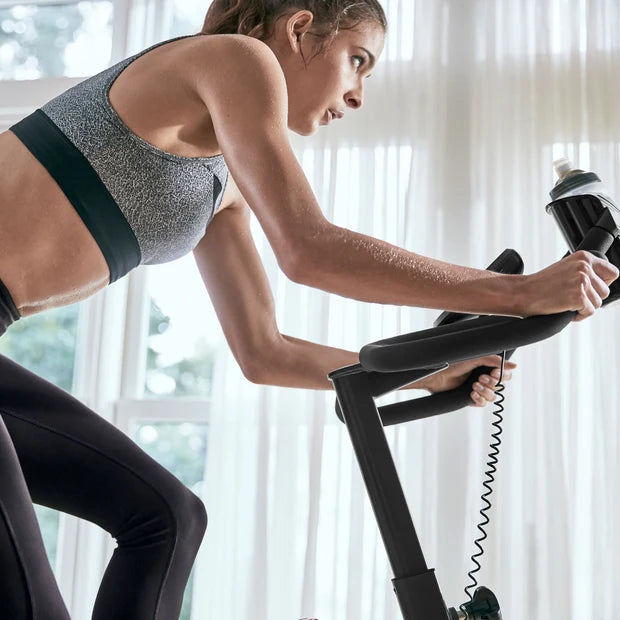 Schwinn Indoorbike 700IC