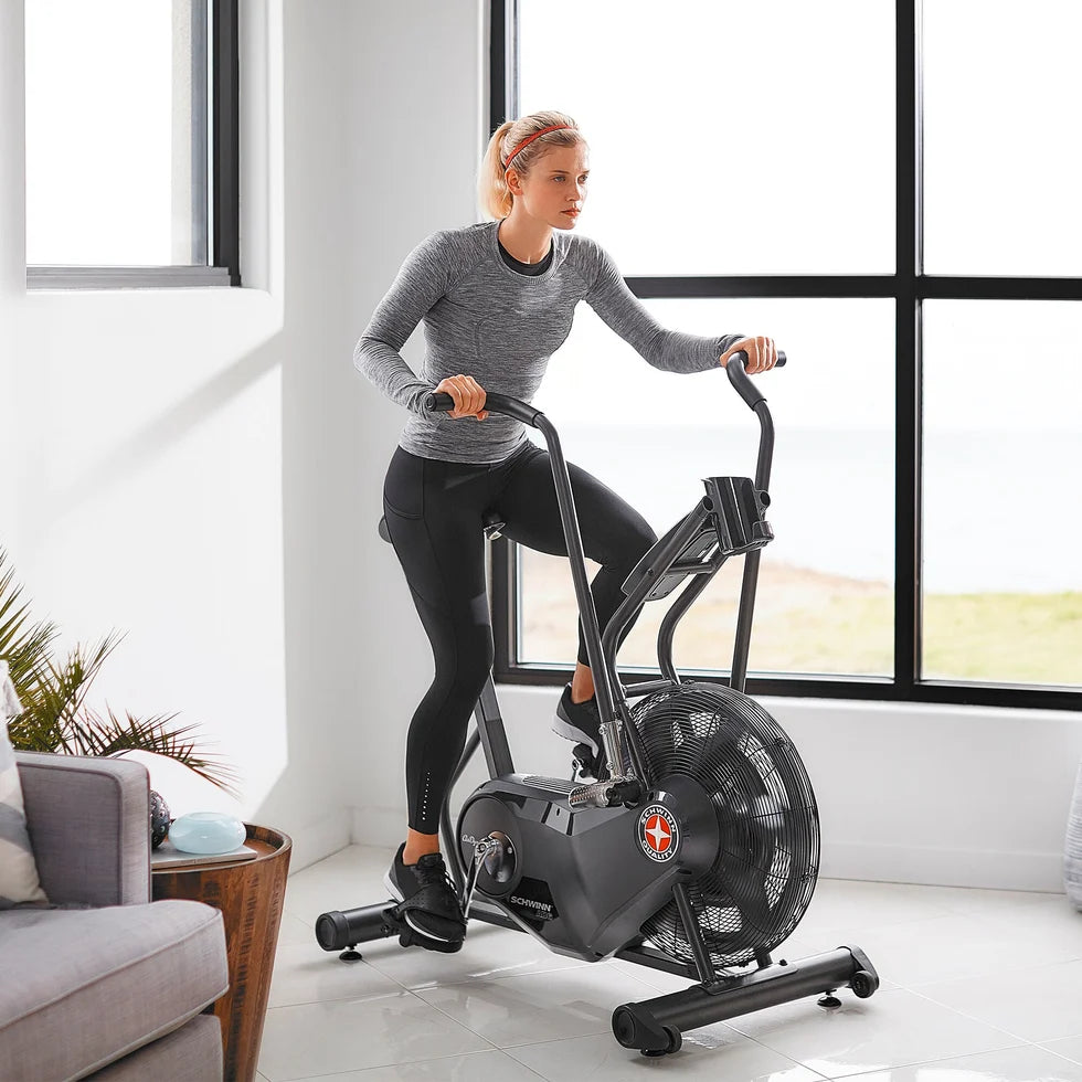 Schwinn Ergometer Airdyne AD6i