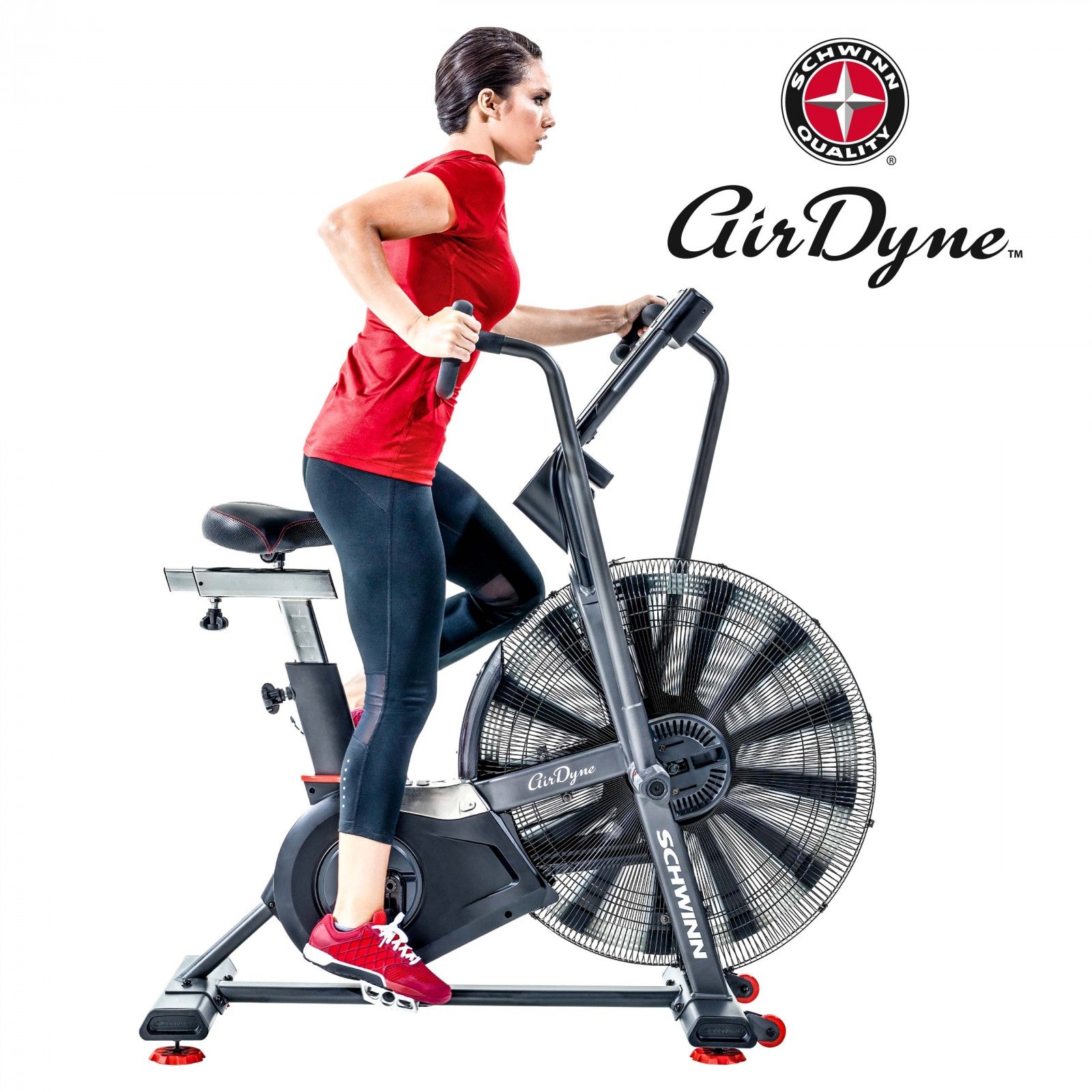 Schwinn Ergometer Airdyne AD8i