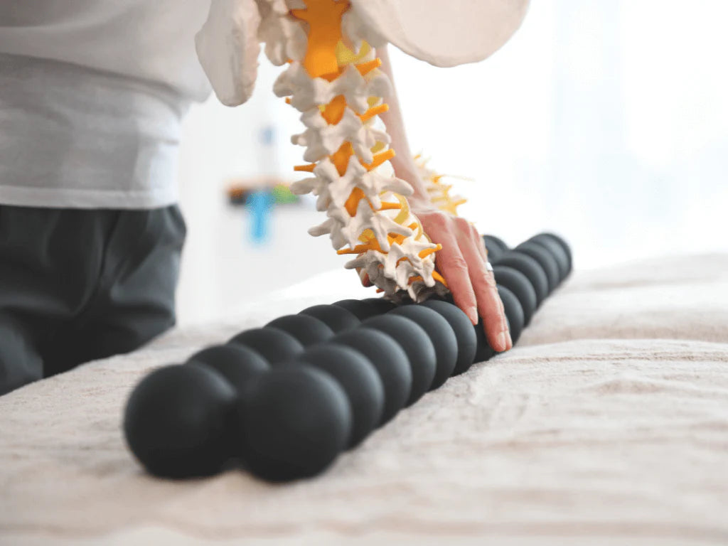 Balanced Body Spinefitter by Sissel – Ansicht 9 — Pilates Zubehör | Balanced Body