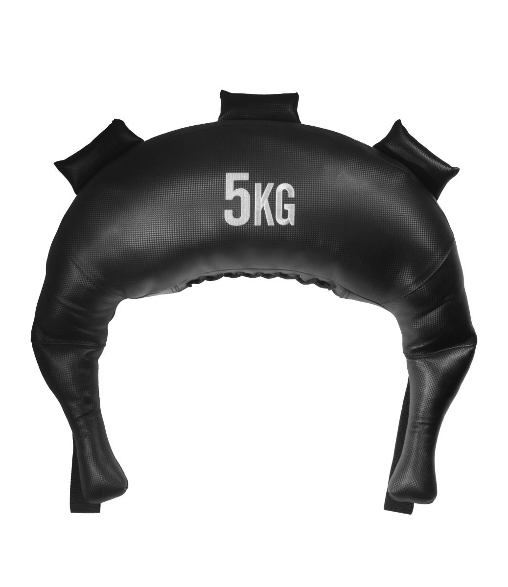 Titanium Strength Bulgarian Bag Trainingssack