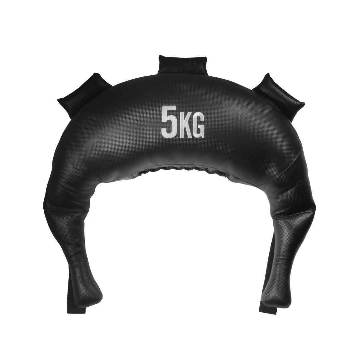Titanium Strength Bulgarian Bag Trainingssack
