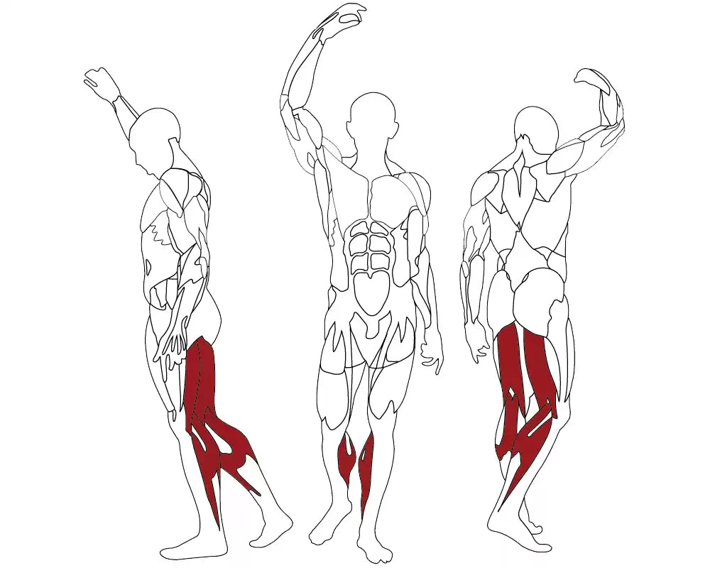 BH Fitness INERTIA Seated Calf L210B