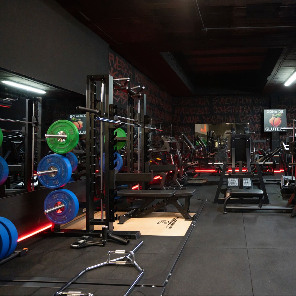Titanium Strength Tatami Plattform für Kreuz- und Gewichtheben 2x3m