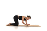 rollholz Minirolle