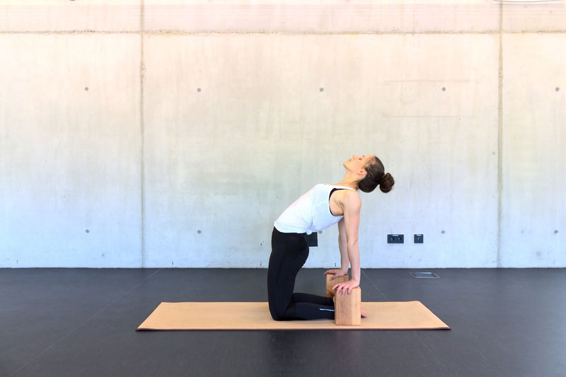 rollholz Yogablock (Set)